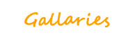 Gallaries